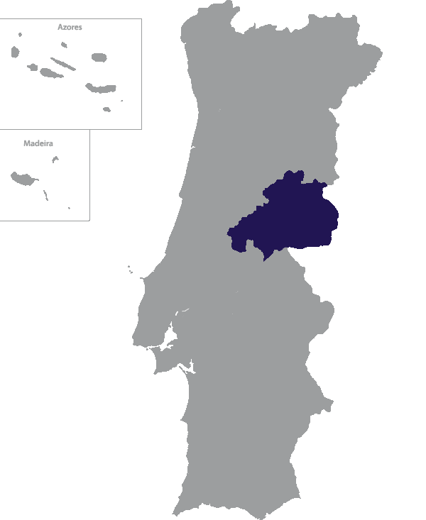 Landkaart Portugal grijs met district Castelo Branco donkerblauw op transparante achtergrond - 600 * 733 pixels